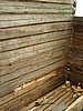 P7060018.JPG