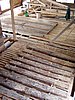 P6070029.JPG