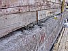 P6090051.JPG