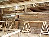 P6130061.JPG