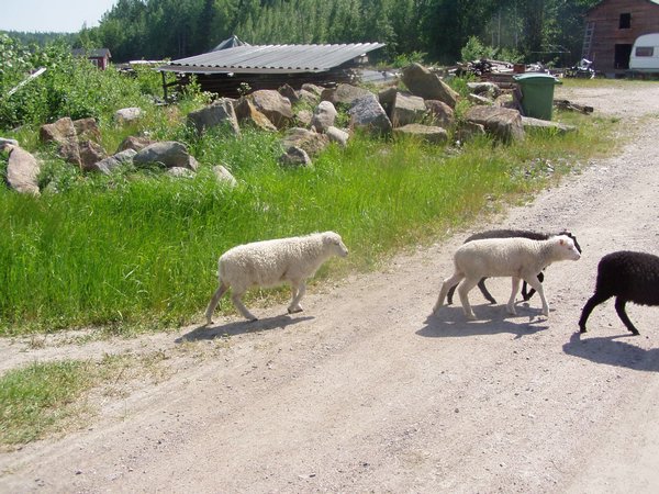 P1010090.JPG
