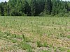 P1010100.JPG