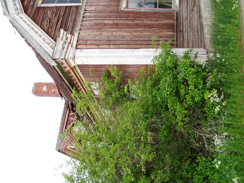 P1010010.JPG
