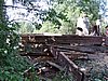 P1010067.JPG