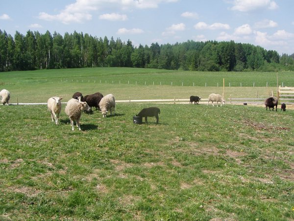 P1010084.JPG