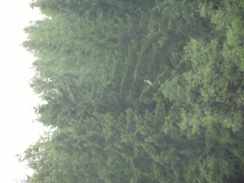 P1010005.JPG