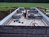 P1010019.JPG