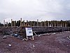 P1010051.JPG