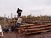 P1010061.JPG