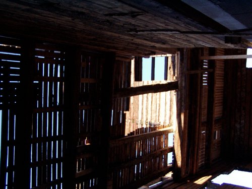 P1010023.JPG