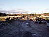 P1010028.JPG