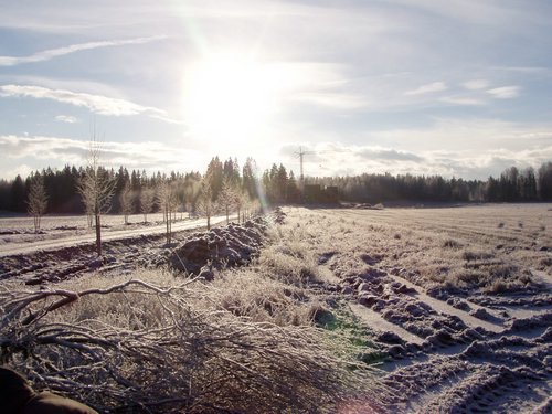 P1010013.JPG