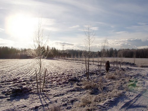 P1010015.JPG