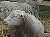 DSC00017.JPG