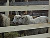 DSC00022.JPG