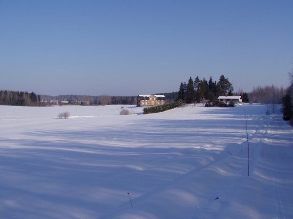 P1010013.JPG