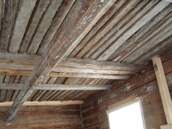 P1010079.JPG