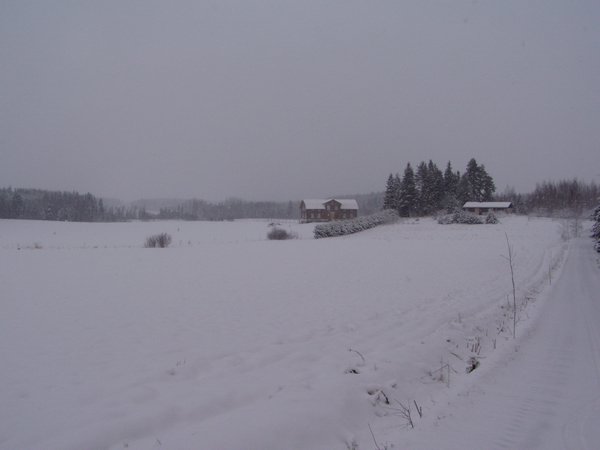 PC260003.JPG