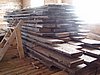 P1010086.JPG