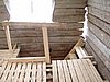P5100032.JPG
