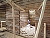 P5100039.JPG
