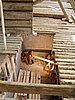P5100045.JPG