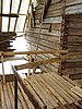 P5100049.JPG