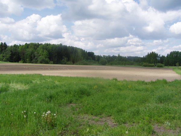 P1010051.JPG