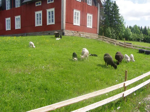 P1010053.JPG
