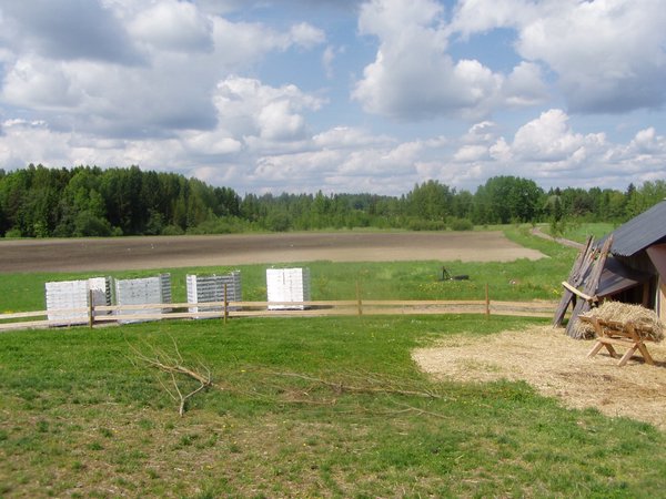 P1010067.JPG