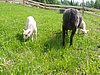 P1010055.JPG