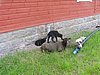 P1010060.JPG