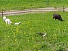P1010061.JPG