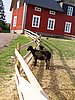 P5170041.JPG